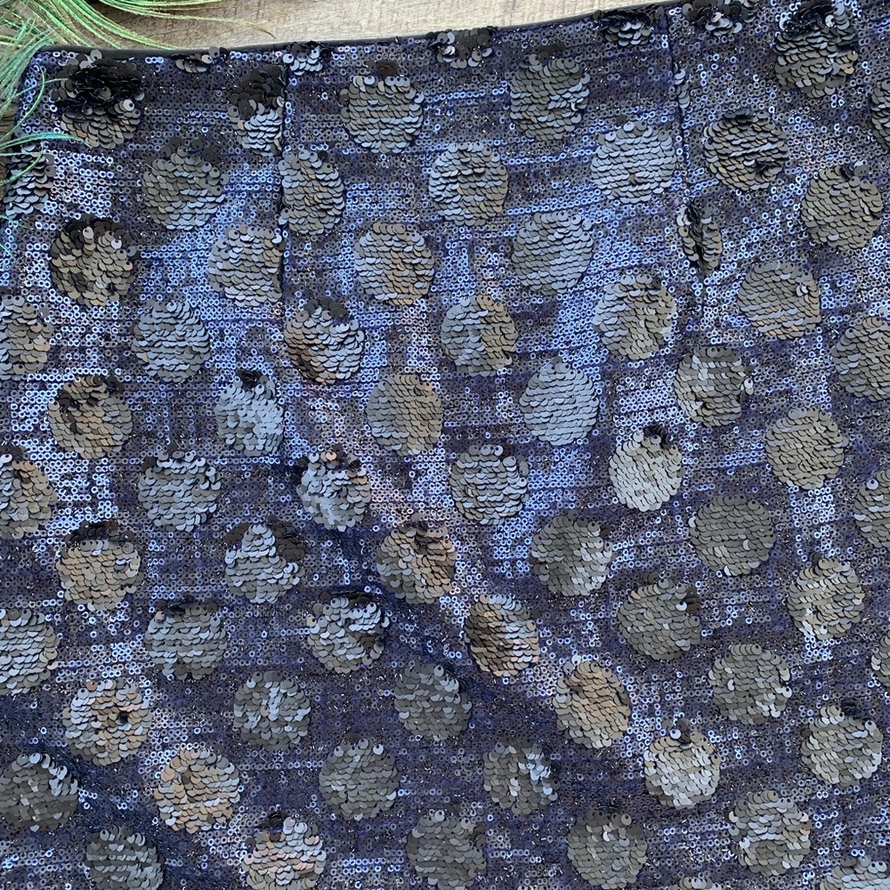 Anthropologie—Broadway & Broome—Sequin Skirt - Picture 6 of 8